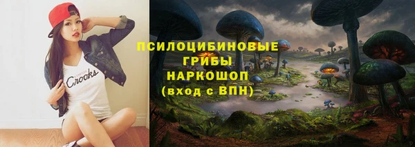 МДПВ Белокуриха