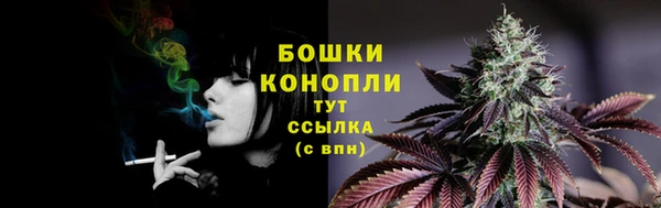 шишки Балабаново