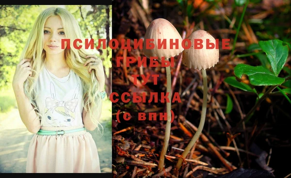 кокс Новодвинск