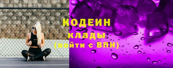крисы Ижевск