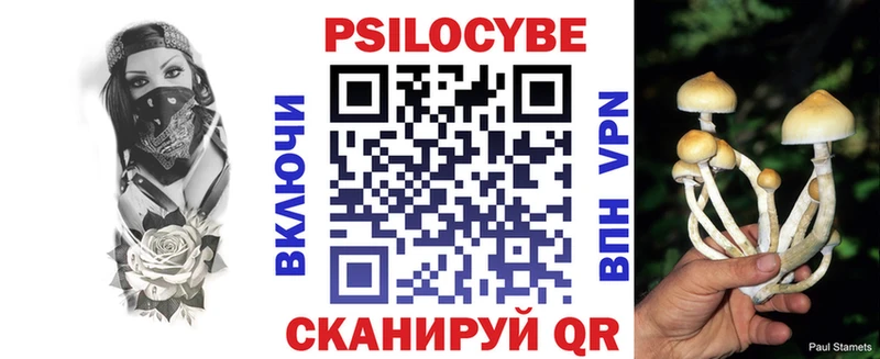 хочу наркоту  гидра ссылки  Псилоцибиновые грибы мицелий  Котельнич 